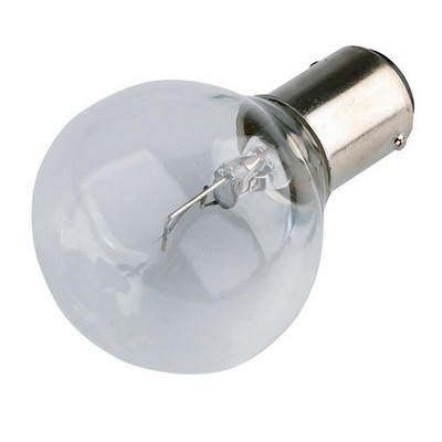 Raybox 24w Bulb Each